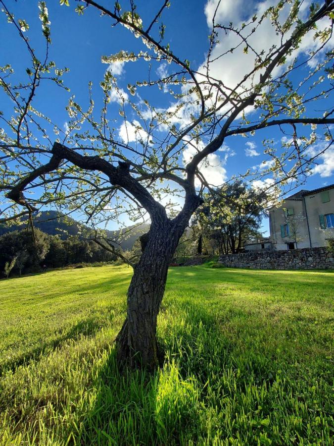 Les Jardins De Falguiere Сен-Жан-дю-Гар Екстер'єр фото