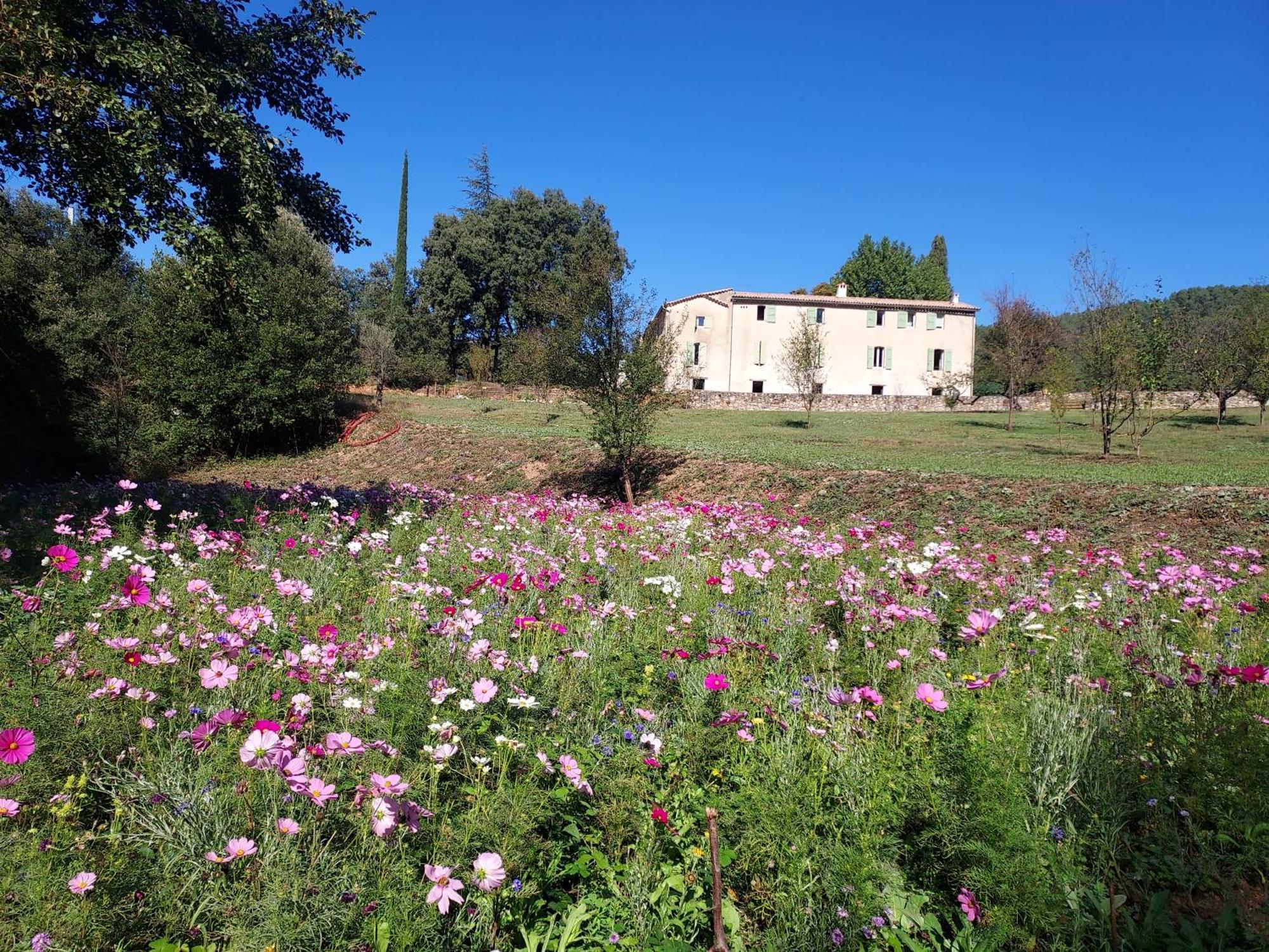 Les Jardins De Falguiere Сен-Жан-дю-Гар Екстер'єр фото